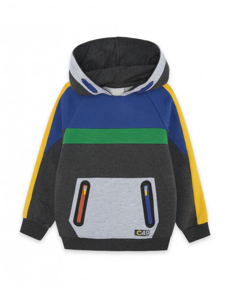 Sweat-shirt capuche en peluche poche kangourou garçon gris Sweat-shirt capuche en peluche poche kangourou garçon gris