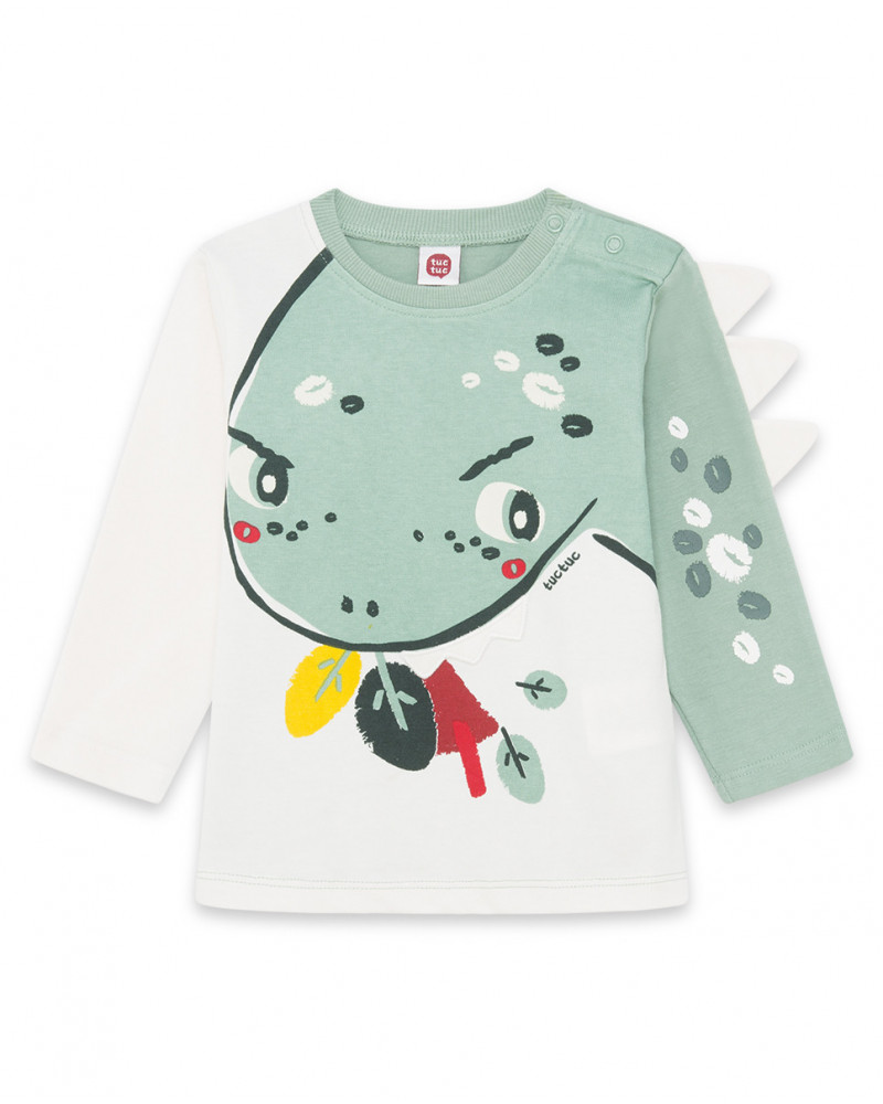 Tee-shirt en jersey dinosaure garçon vert highlands