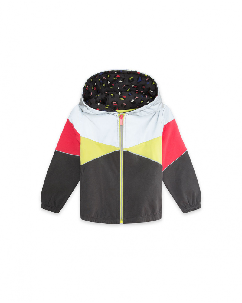 Sweat à Capuche Gris Peluche Fille Wild & Free