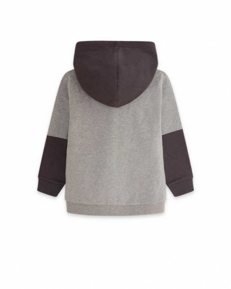 Sweat à capuche gris en peluche Boy Active Sweat à capuche gris en peluche Boy Active