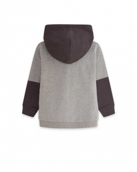 Sweat à capuche gris en peluche Boy Active Sweat à capuche gris en peluche Boy Active