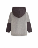 Sweat à capuche gris en peluche Boy Active Sweat à capuche gris en peluche Boy Active