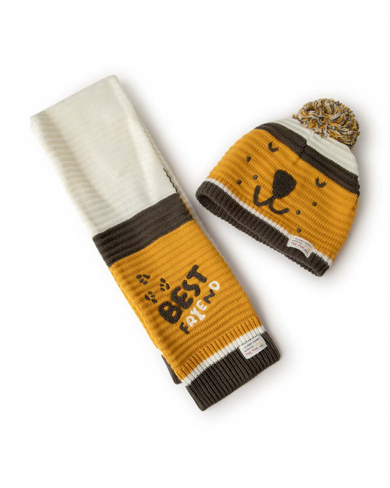 Bonnet Et Echarpe Tricot Orange Boy Dog'S Mix