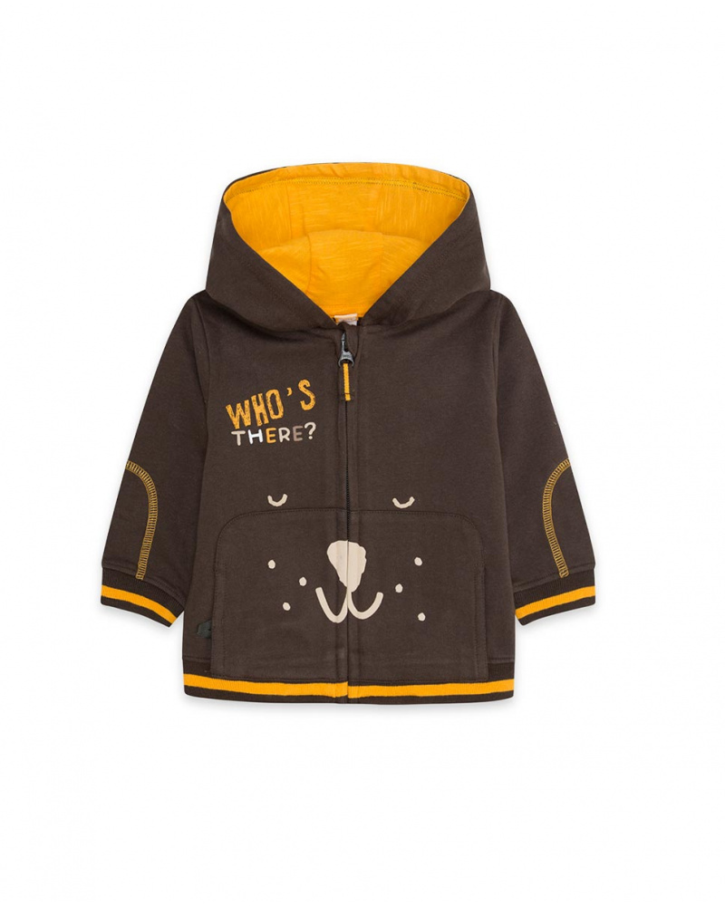 Sweat à Capuche Marron en Peluche Boy Dog'S Mix