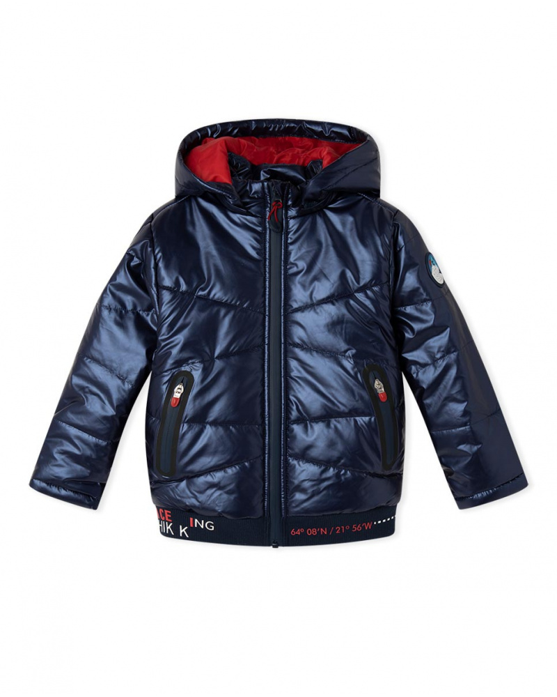 Parka Garçon Bleu Métallisé Ski Explorers