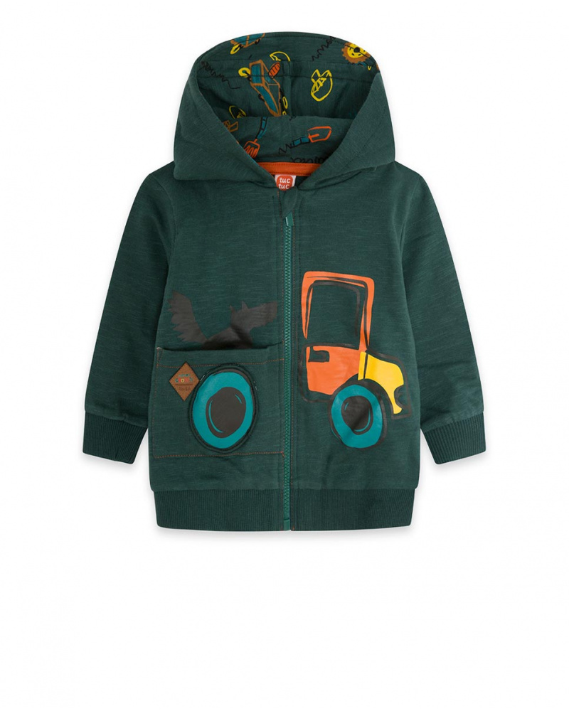 Sweat à Capuche Plush Vert Garçon Natural Grown