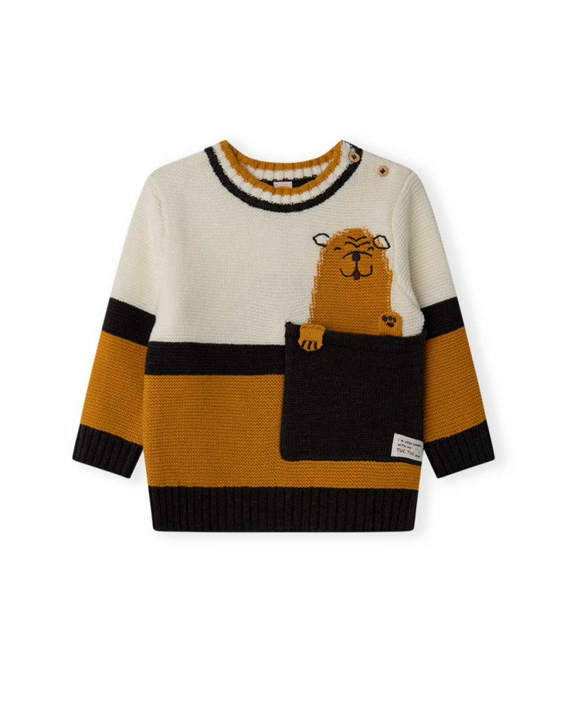 Pull Tricot Orange Boy Dog'S Mix