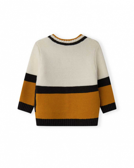 Pull Tricot Orange Boy Dog'S Mix