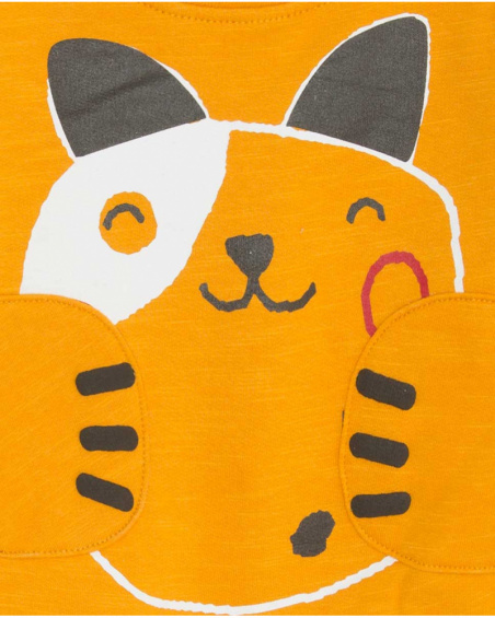Sweat Et Pantalon Peluche Orange Boy Dog'S Mix