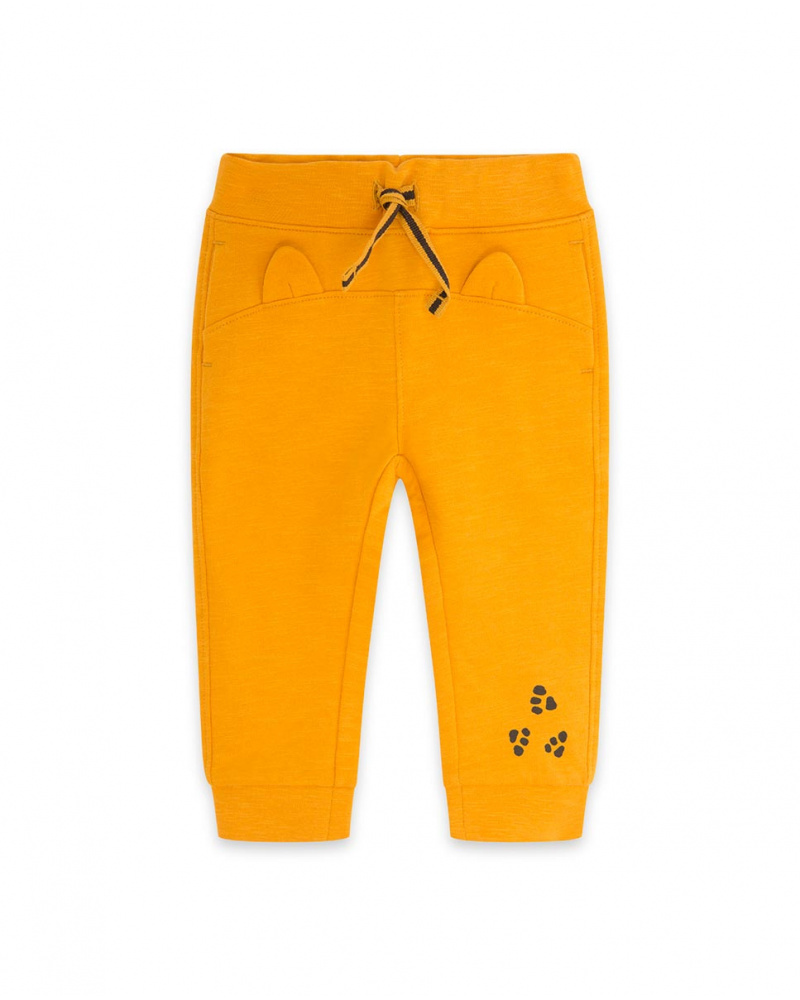 Pantalon Peluche Orange Et Orange Boy Dog'S Mix