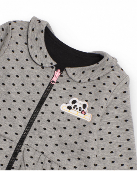 Set di quattro pezzi per bambina con design panda, che include giacche, maglietta e pantaloni in