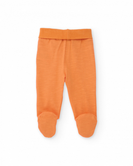 Completo in maglia per neonato con stampa di giraffa