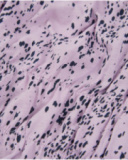 Top da bambina in maglia con stampa a pois