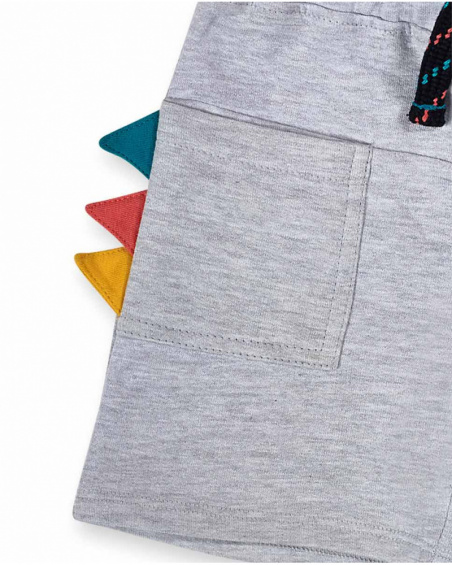 Bermudas de pelúcia cinza para meninos Juicy