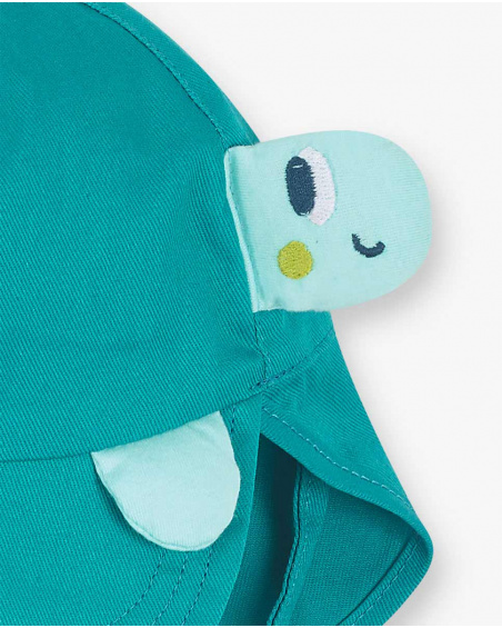 Touca plana tartaruga azul para menino Tartarugas