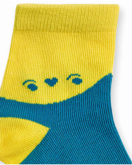 Conjunto de 3 meias coloridas para menino Dragon Finder