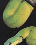 T-shirt preta de menino em malha Coleção Savage Spirit