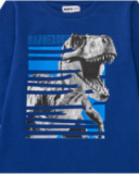 Camiseta de manga comprida azul para menino com estampa de