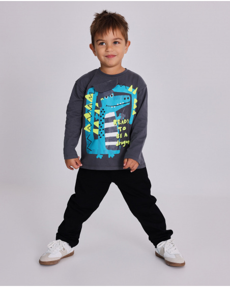 Camiseta de manga comprida para menino em cinza com estampa de