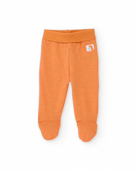 Conjunto de tricô para recém-nascido com estampado de girafa