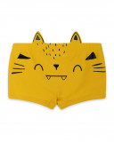 Boxer banho amarelo carinha gato menino